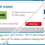 Remove Obrona BlockAds pop-up